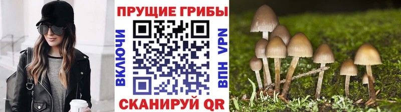 цена   гидра ссылки  Псилоцибиновые грибы Cubensis  Константиновск 